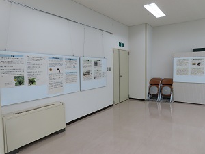 春季特別展の画像2