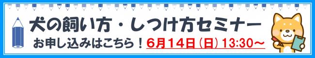 いぬ