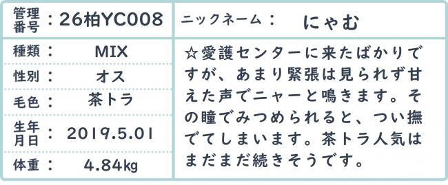 にゃむ
