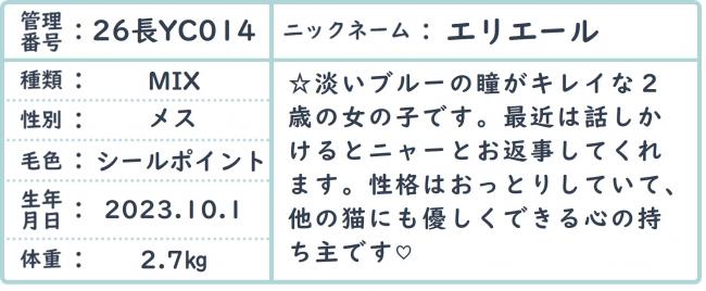 えり