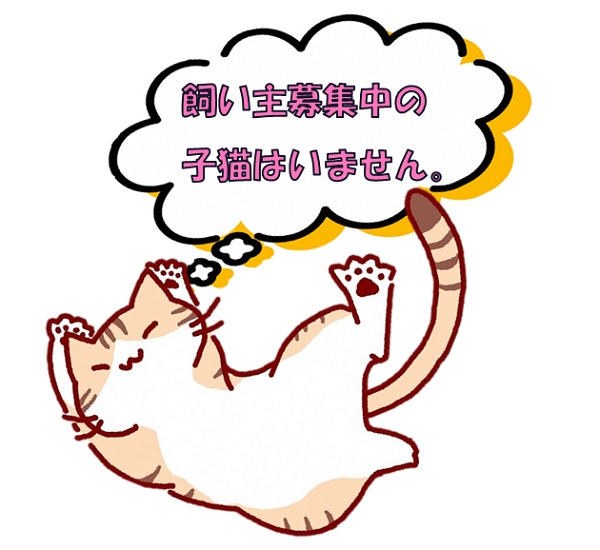 いません