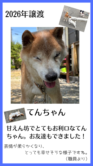 てんちゃん