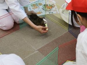 しゃしん