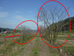 着手前