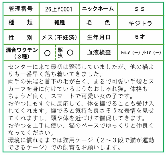 HP用ポップ（26上YC0001ミミ）