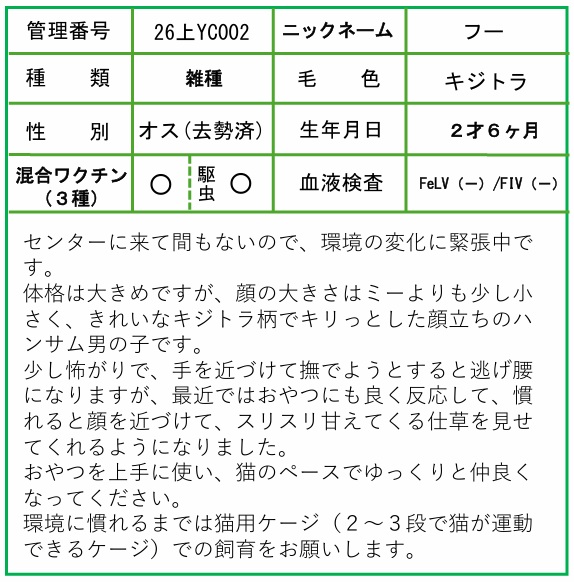 HP用ポップ（26上YC0002フー）