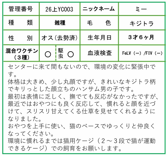 HP用ポップ（26上YC0003ミー）