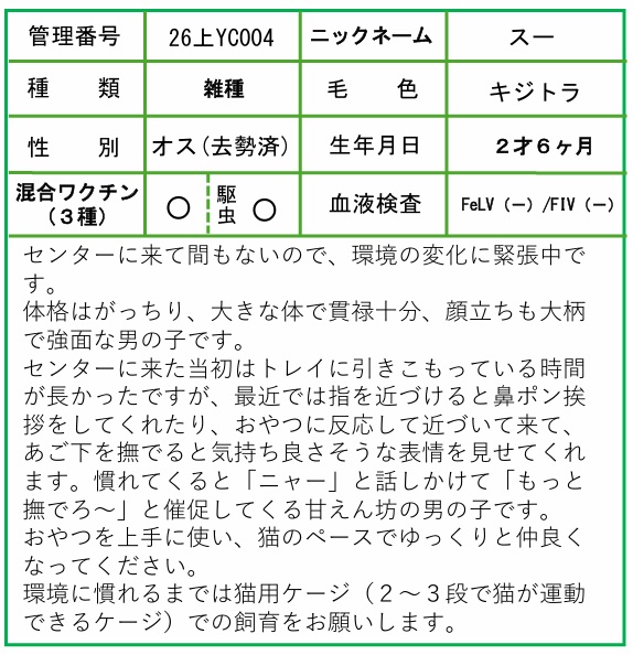 HP用ポップ（26上YC0004スー）
