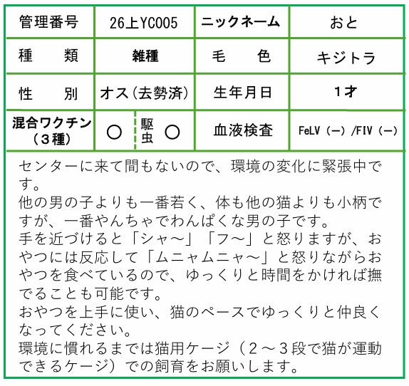 HP用ポップ（26上YC0005おと）