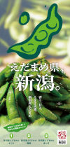 新潟産えだまめリーフレット表紙