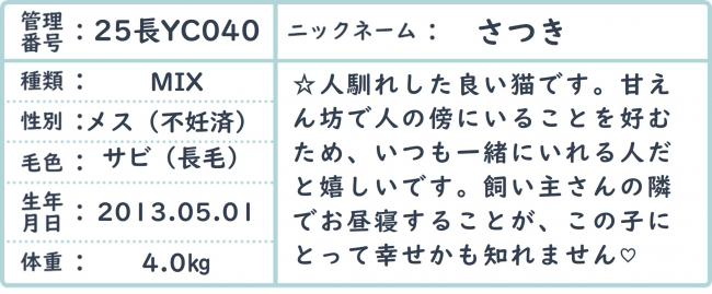 さつき