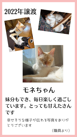 モネ