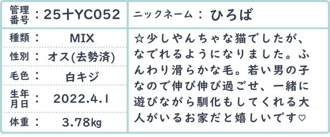 hiroba