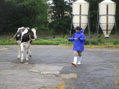 牛舎の近くで練習します