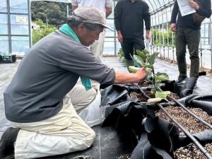 【塾長による定植指導】