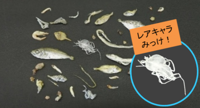 ちりめんモンスター