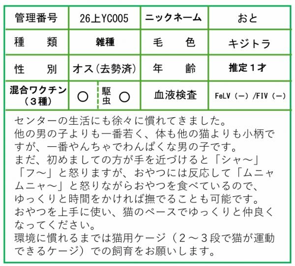 HP用ポップ(26上YC0005おと) (2)