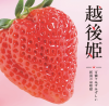 越後姫パンフレット表紙