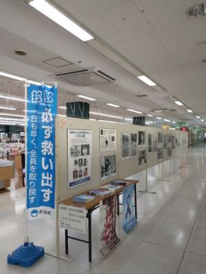 ネーブルみつけ