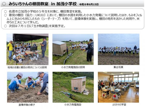 速報版