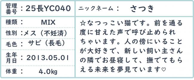 さつき