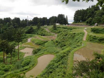 星峠の棚田