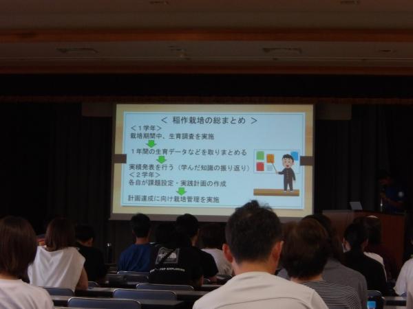 オリエンテーション_稲作