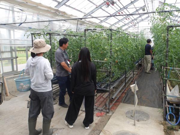 各科の農場見学_野菜