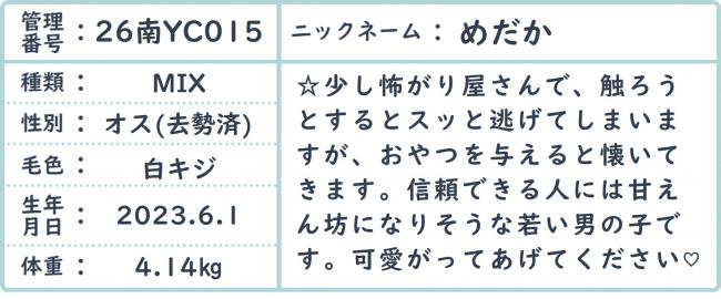 めだか