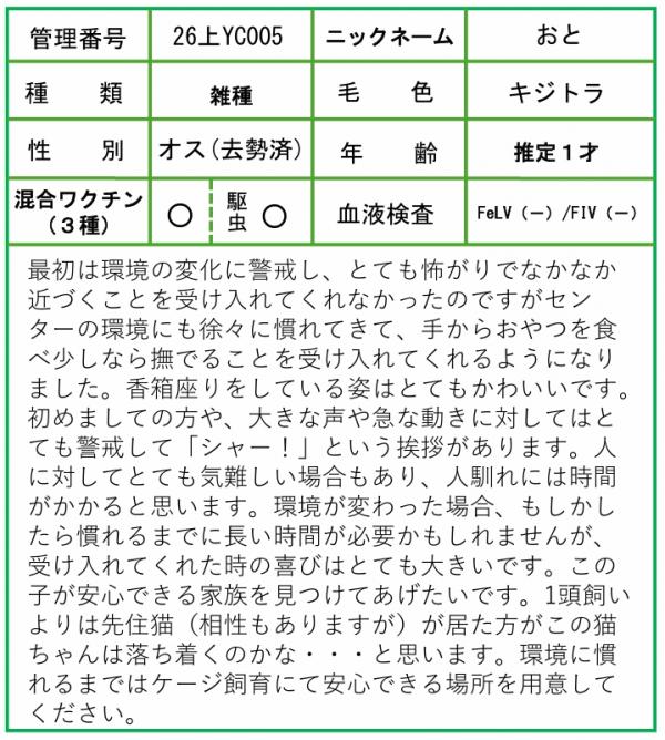 HP用ポップ（26上YC0005おと）-3