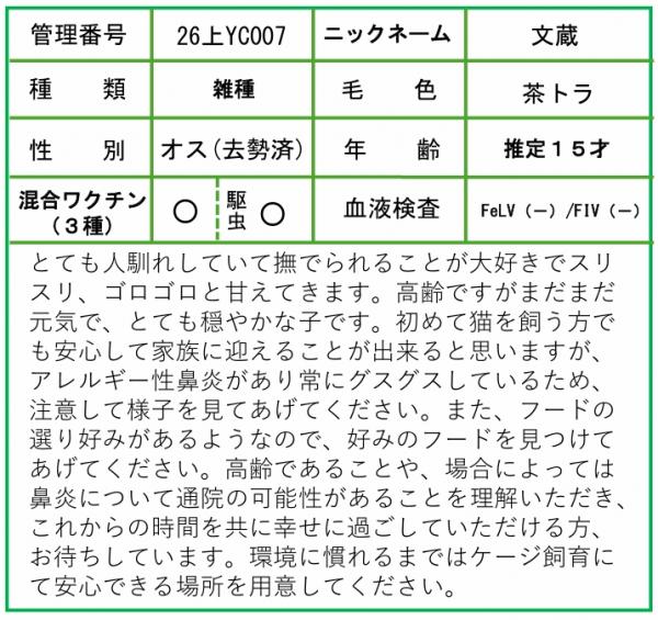 HP用ポップ（26上YC0007文蔵）