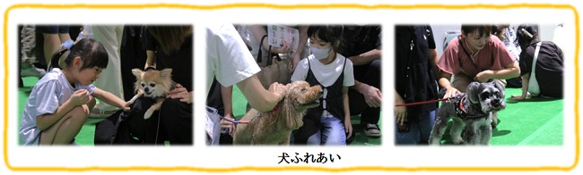 フェス(ふれあい)