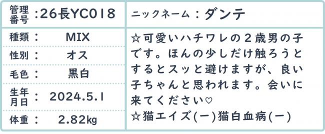 だんて