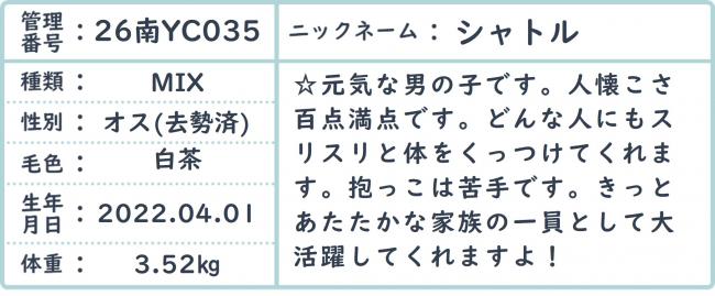 しゃとる