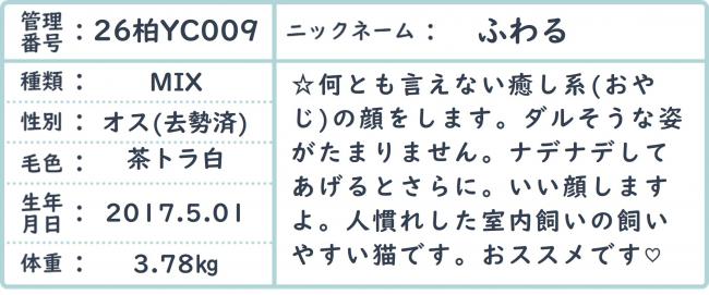 ふわる