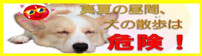 夏の散歩危険