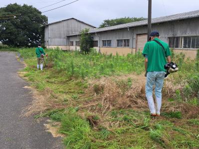 最初は、おっかなびっくり刈り始めました