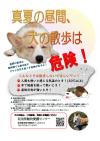 真夏危険