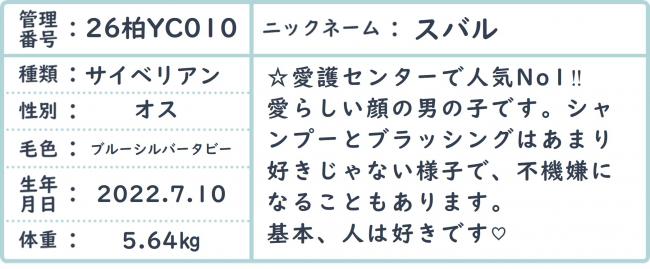 すばる