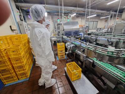 牛乳の製造工程を説明していただきました