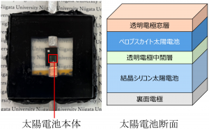 ペロブスカイト／シリコンタンデム太陽電池