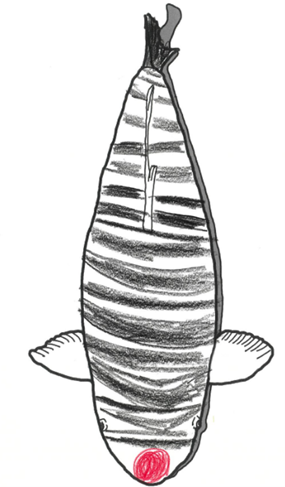 場長2