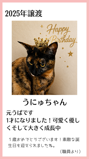 うにゅ