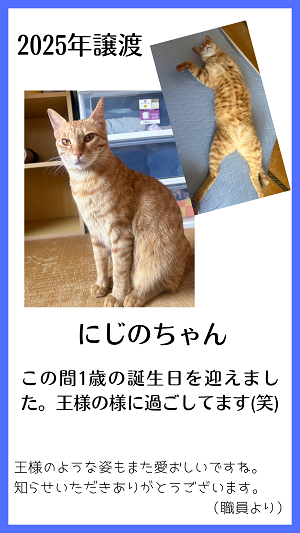 にじの