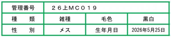 MC019