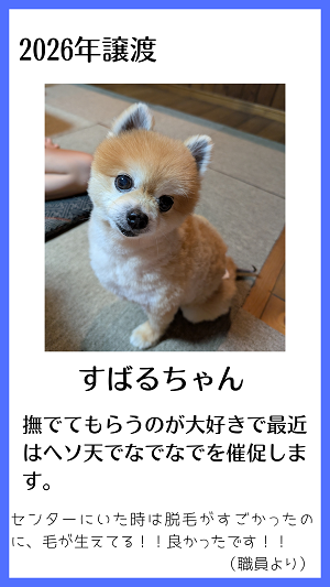すばる