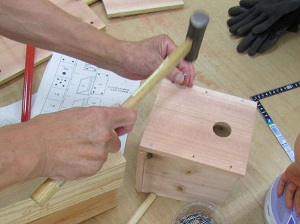 巣箱作りの画像２