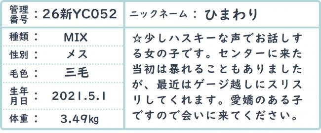 ひまわり