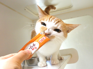 さけ