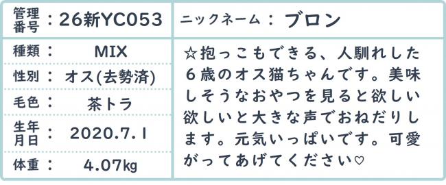 ぶろん